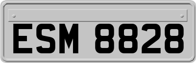 ESM8828