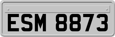 ESM8873