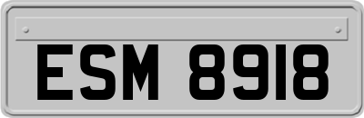ESM8918