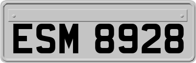 ESM8928