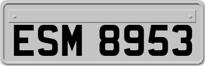 ESM8953