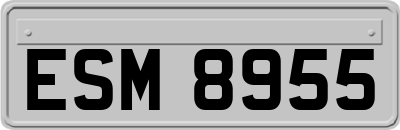 ESM8955
