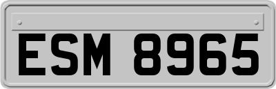 ESM8965