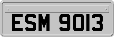 ESM9013
