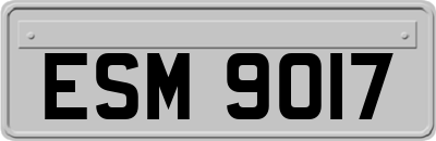 ESM9017