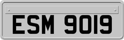 ESM9019