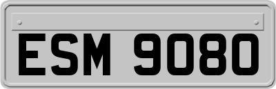 ESM9080