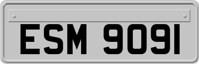 ESM9091