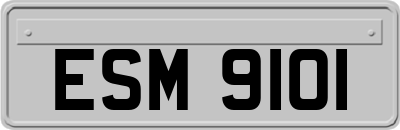 ESM9101