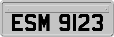 ESM9123