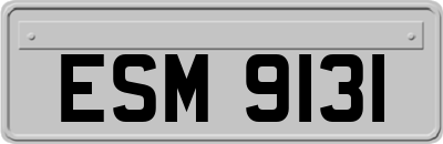 ESM9131