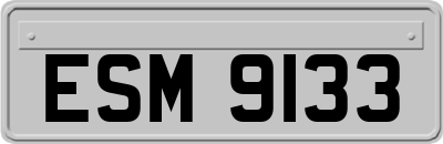ESM9133