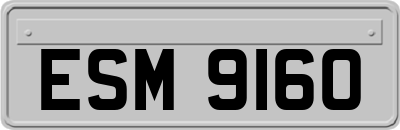 ESM9160