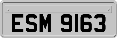 ESM9163