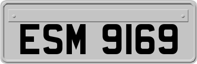 ESM9169