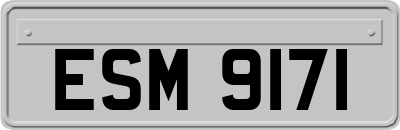ESM9171