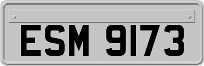 ESM9173