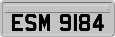 ESM9184