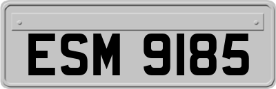 ESM9185