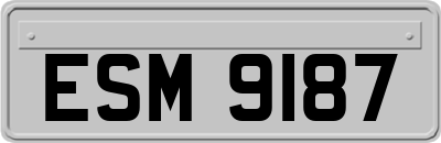 ESM9187