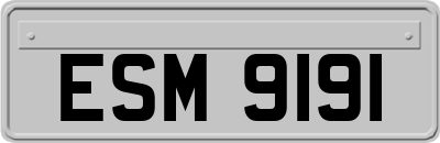 ESM9191