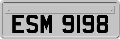 ESM9198