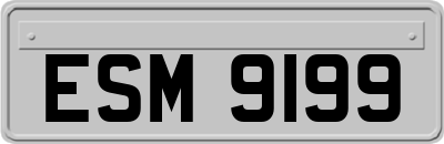 ESM9199