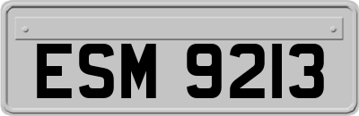 ESM9213