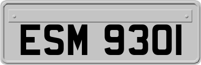 ESM9301