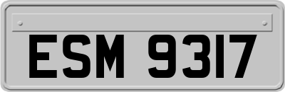 ESM9317
