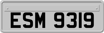 ESM9319