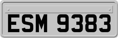 ESM9383