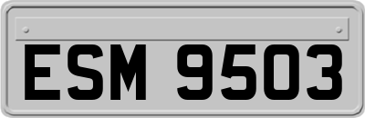 ESM9503
