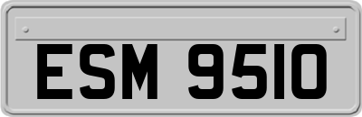 ESM9510