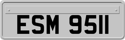 ESM9511