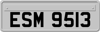 ESM9513