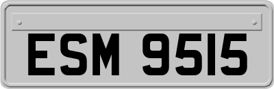 ESM9515
