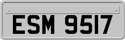 ESM9517