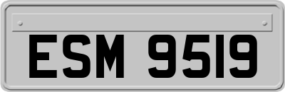 ESM9519