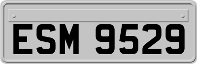 ESM9529