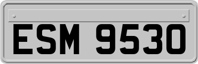 ESM9530