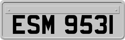 ESM9531