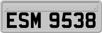 ESM9538