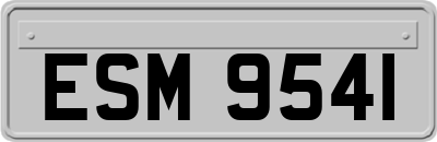 ESM9541