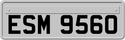 ESM9560