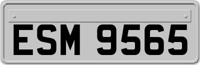 ESM9565