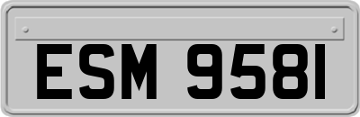 ESM9581