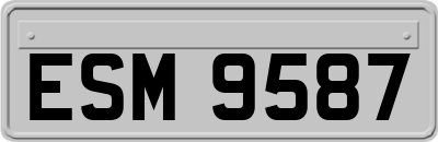 ESM9587