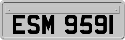 ESM9591
