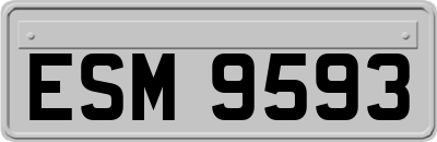ESM9593